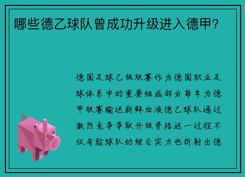 哪些德乙球队曾成功升级进入德甲？